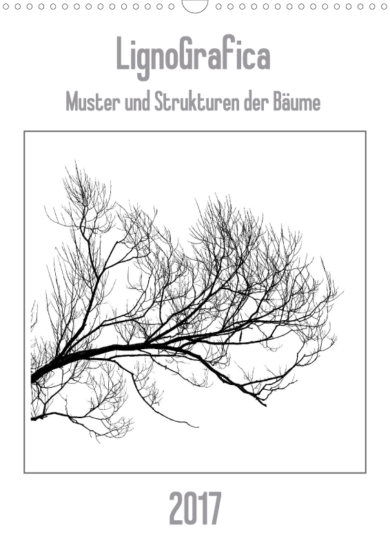Ligno Grafica - Muster und Strukturen der Bäume
